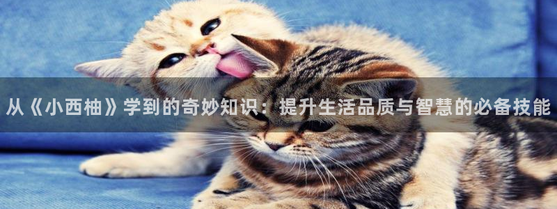 鸠摩搜书app：从《小西柚》学到的奇妙知识：提升生活品质与智慧的必备技能