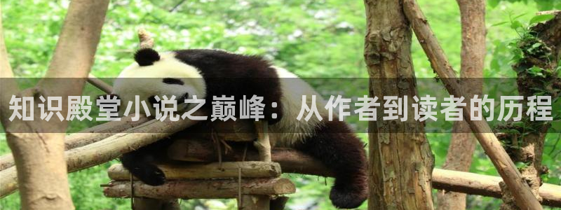 jiumosearch鸠摩搜书官网：知识殿堂小说之巅峰：从作者到读者的历程