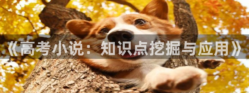 鸠摩搜书pdf：《高考小说：知识点挖掘与应用》