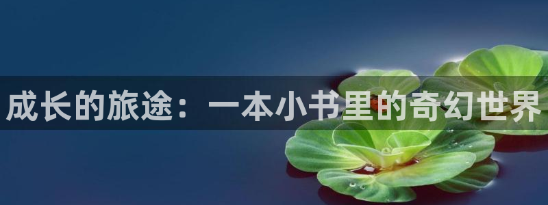 鸠摩搜书网址：成长的旅途：一本小书里的奇幻世界