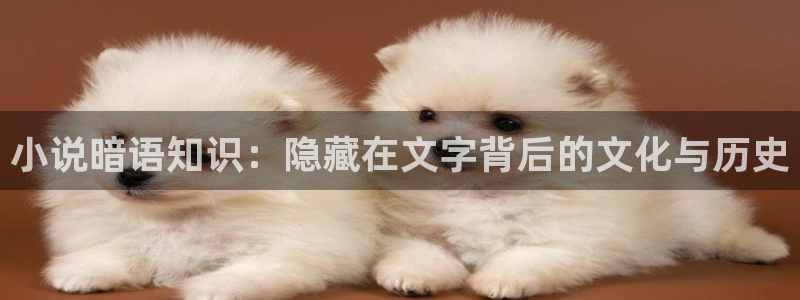 鸠摩搜书i：小说暗语知识：隐藏在文字背后的文化与历史
