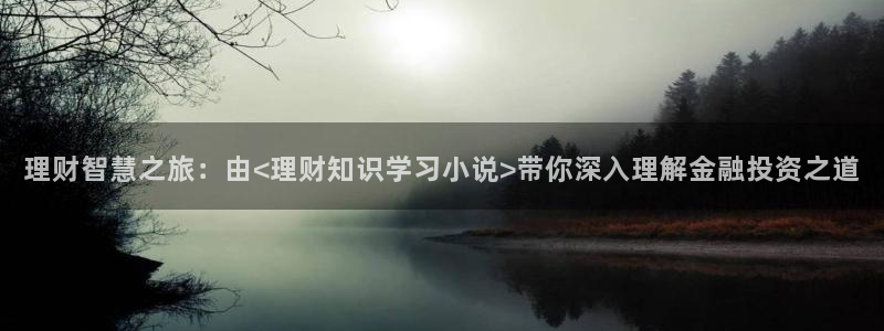 鸠摩鸠摩搜书：理财智慧之旅：由<理财知识学习小说>带你深入理解金融投资之道
