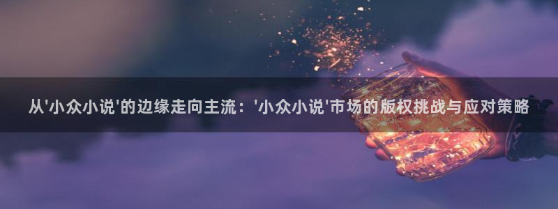 1.鸠摩搜书：从\'小众小说\'的边缘走向主流：\'小众小说\'市场的版权挑战与应对策略