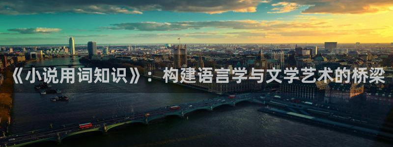 鸠摩搜书索：《小说用词知识》：构建语言学与文学艺术的桥梁