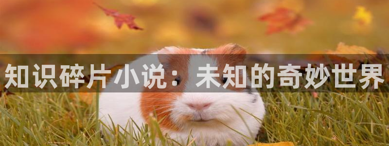 鸠摩搜书怎么下载：知识碎片小说：未知的奇妙世界
