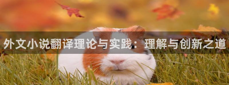 鸠摩搜书 下载：外文小说翻译理论与实践：理解与创新之道