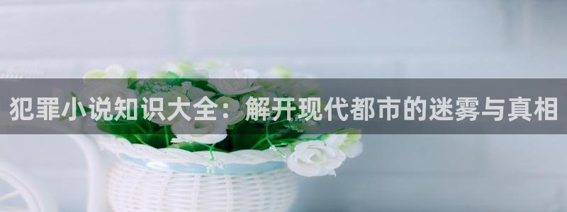 鸠摩搜书官网app：犯罪小说知识大全：解开现代都市的迷雾与真相
