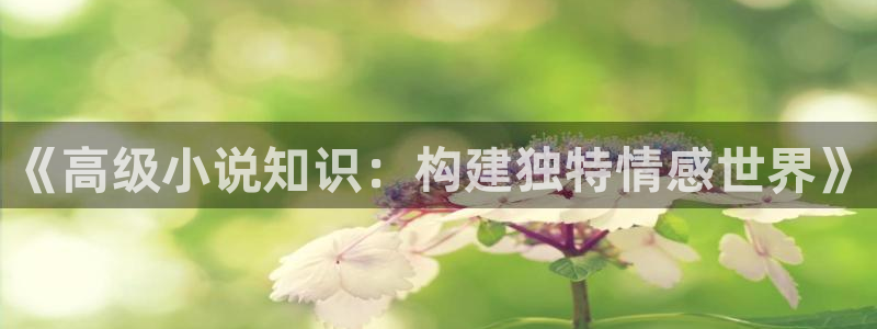 鸠摩搜书pdf